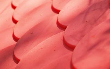 Morchard Bishop plastic roof costs