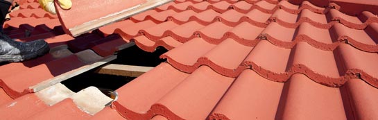 compare Morchard Bishop roof repair quotes